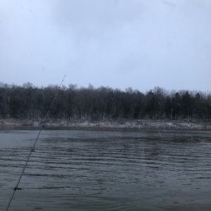 Meet your Posher, Derrick